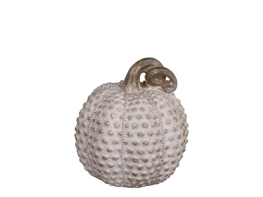 Small Dotty Pumpkin - Image 2